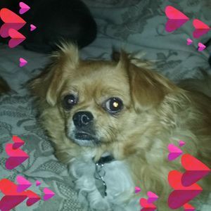 Meet your Posher, Tina